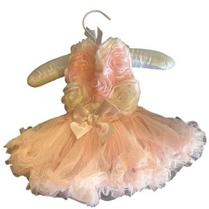 Very formal dog dress